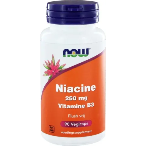 Niacin Flush Free 250Mg Now