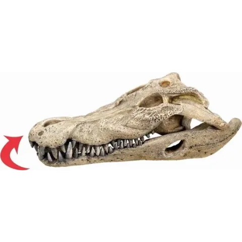 Nobby aqua deco krokodil schedel medium - 26 x 14 x 9 cm