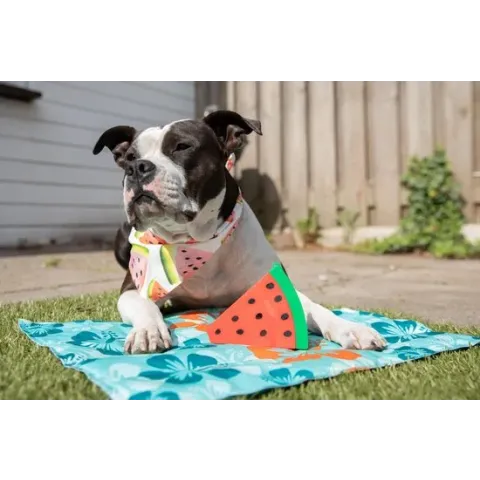 Nobby Cooling mat Flower 90 x 50 cm