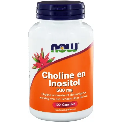 Now Foods - Choline en Inositol - 250 mg Choline en 250 mg Inositol per dosering - 100 Capsules