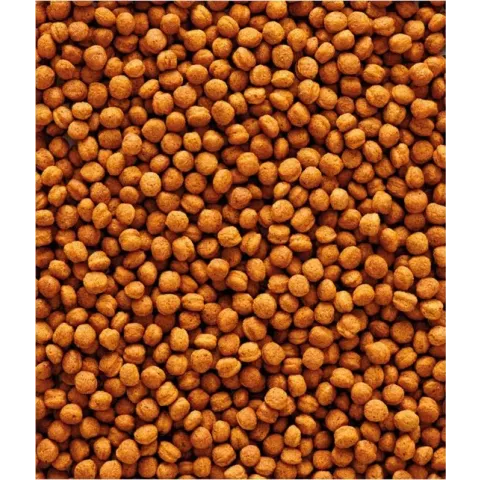 Nutribird T16 Toekan Onderhoudsvoer 700 gram