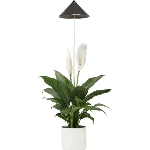 Parus by Venso Sunlite Kweeklamp - 7 W - Grijs