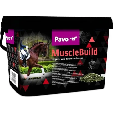 Pavo Musclebuild - Voedingssupplement - 3 kg