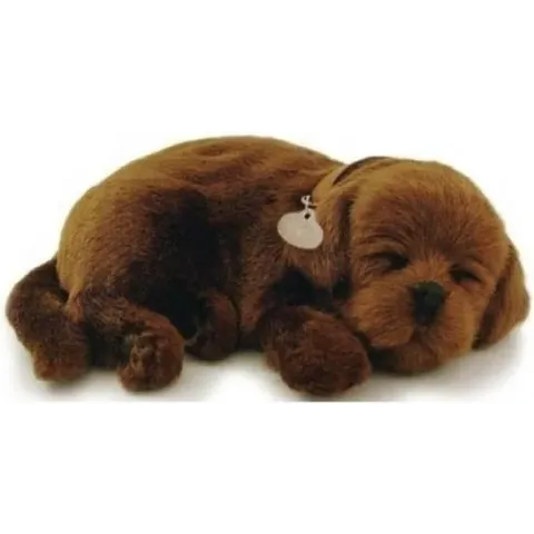 Perfect petzzz Soft labrador chocolate