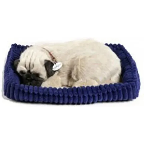 Perfect petzzz Soft pug