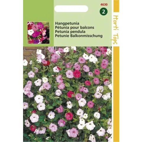 Petunia Pendula Bloemzaad - Gemengd