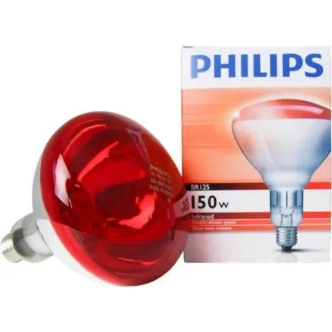 Philips - Incandescent reflector lamp Gloeilamp 871150057520325