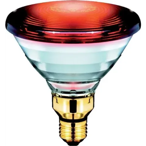 Philips Infraroodlamp PAR38 IR - 150W E27 230V - Rood 12887415