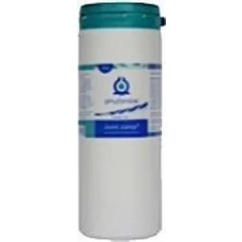 Phytonics Clear Intestine paard 600 gr.