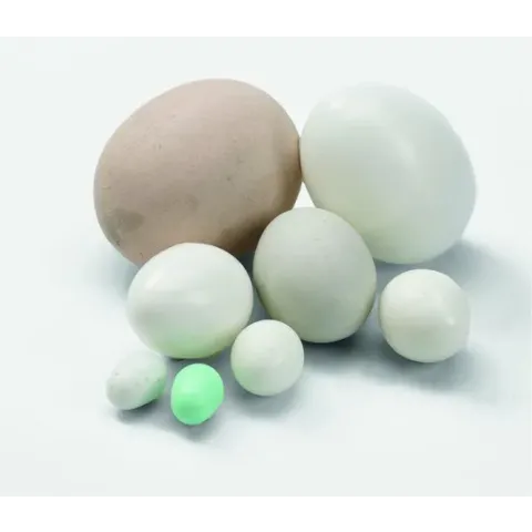 Plastic broedeieren voor kanaries - Verpakt per 100 stuks