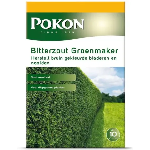 Pokon Bitterzout Groenmaker 500gr