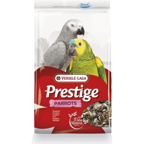 Prestige Papegaaien