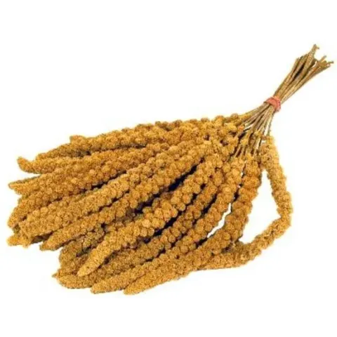 Prestige Trosgierst - Vogelsnack - 300 g