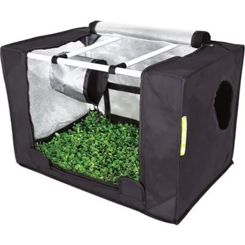 Probox Propagator Klein incl. LED verliching (60x40x40 cm)BTT