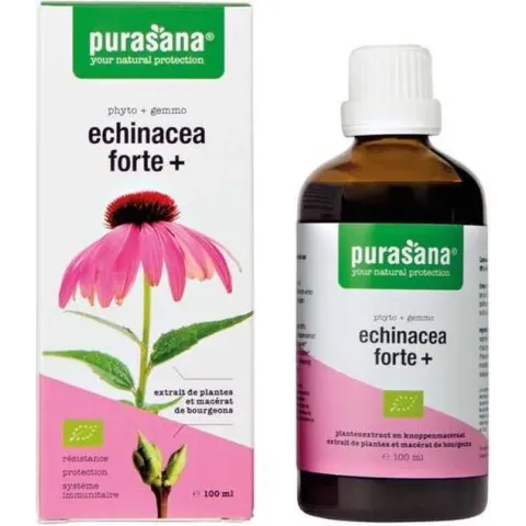 Purasana Echinacea Forte + - 100 milliliter - Voedingssupplement