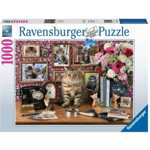 Ravensburger puzzel Mijn katjes - Legpuzzel - 1000 stukjes