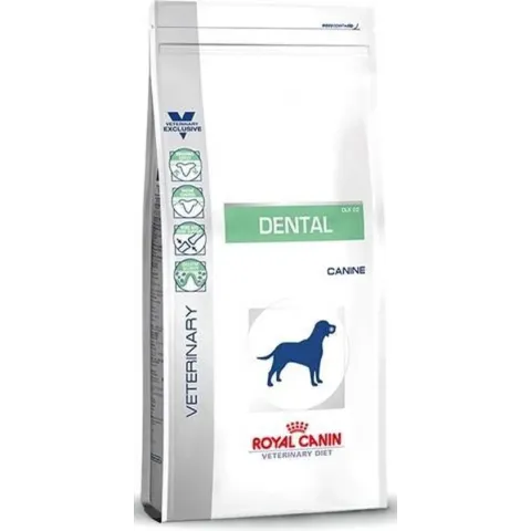 Royal Canin Dental - Hondenvoer - 6 kg