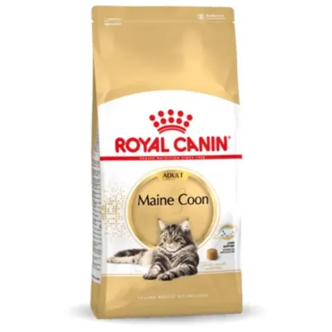 Royal Canin Maine Coon Adult - Kattenvoer - 10 kg