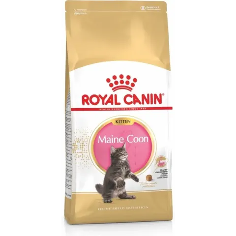 Royal Canin Maine Coon Kitten - Kattenvoer - 4 kg