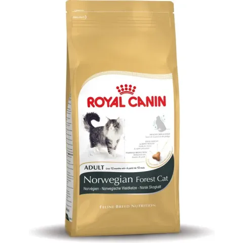 Royal Canin Norwegian Forest Cat Adult - Kattenvoer - 2 kg