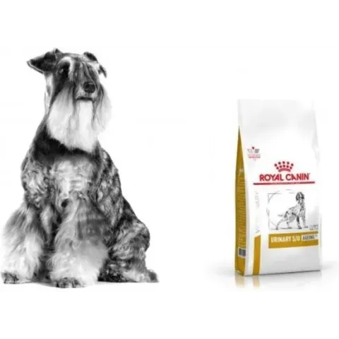 Royal Canin Veterinary Diet Urinary S/O Ageing 7+ Hond 3,5kg