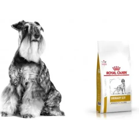Royal Canin Veterinary Diet Urinary S/O Moderate Calorie Hond 6,5kg