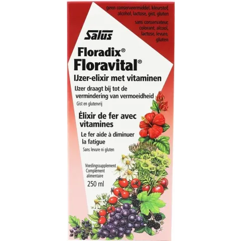 Salus Floradix Floravital – Bij vermoeidheid – Vegan vloeibaar ijzer-elixir met groente-extracten en vruchtenconcentraten – 250 ml