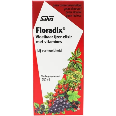 Salus Floradix IJzer-elixir – Bij vermoeidheid – Voedingssupplement met ijzer en vitamine B12 – 250 ml