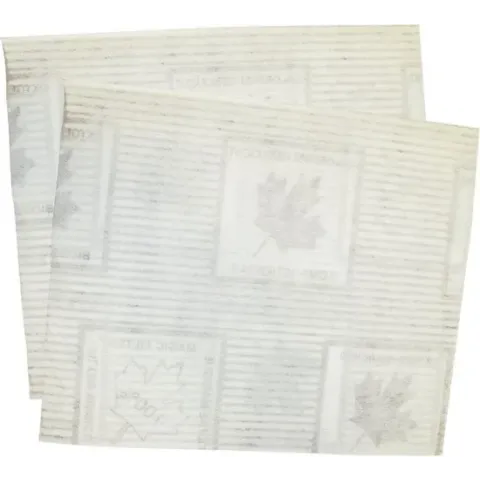 Scanpart - Afzuigkapfilter - 47x57cm - 2 stuks
