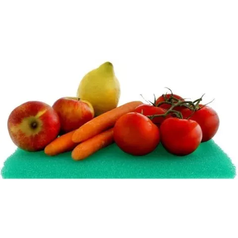 Scanpart Anti-schimmel Koelkast Mat 46x29,5cm