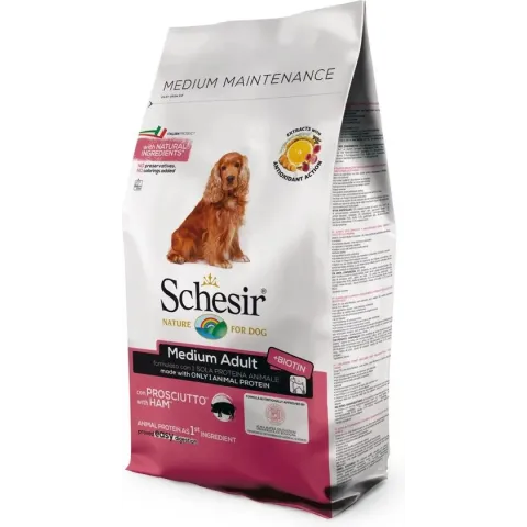 Schesir droogvoer medium -  3 KG