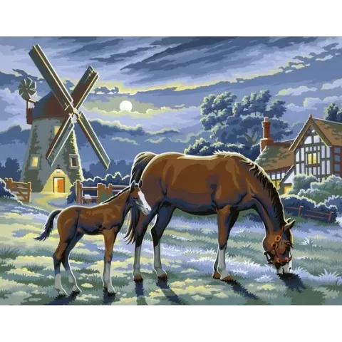 Schilderen Op Nummer Paarden