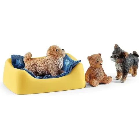 Schleich Farm World -  Puppy huis - Speelfigurenset - Kinderspeelgoed voor Jongens en Meisjes - 3 tot 8 jaar - 13 Onderdelen
