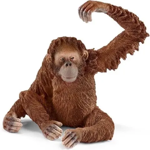 Schleich Orang-Oetan Vrouwtje 14775 - Aap Speelfiguur - Wild Life - 6,6 x 5,8 x 5,6 cm