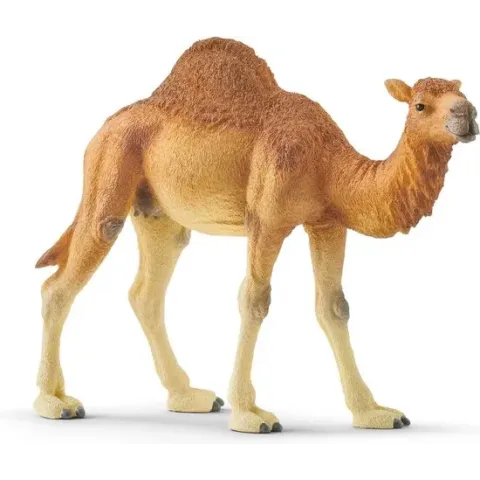 Schleich Wild Life - Dromedaris