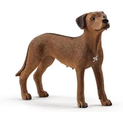 Schleich Wild Life - Leeuwhond
