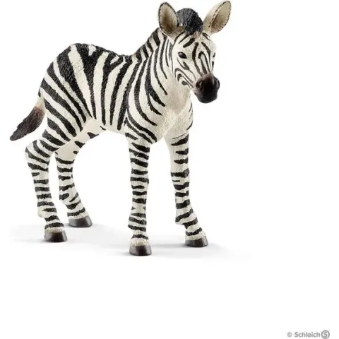 Schleich Zebra jong 14811 - Speelfiguur - Wild Life - 7,6 x 2,2 x 7 cm