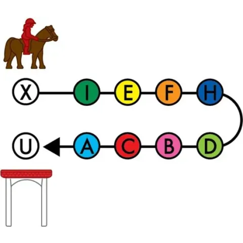 SmartGames - Horse Academy - 80 opdrachten