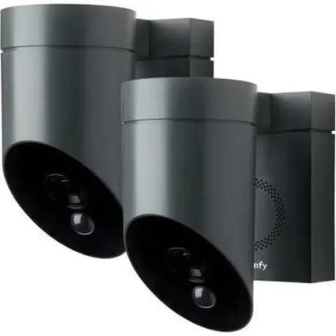 Somfy Outdoor Beveiligingscamera - Grijs - 2 stuks