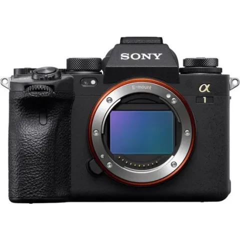 Sony Alpha 1 / Sony A1