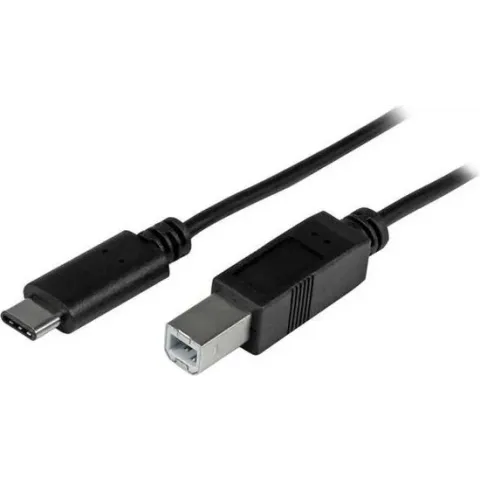 StarTech.com USB C naar USB-B kabel M/M 2 m USB 2.0