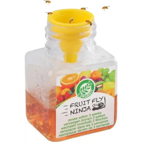 Super Ninja - Fruit Fly Ninja® - Fruitvliegjes vanger - 100% natuurlijk en Milieu verantwoordelijk - Single pack