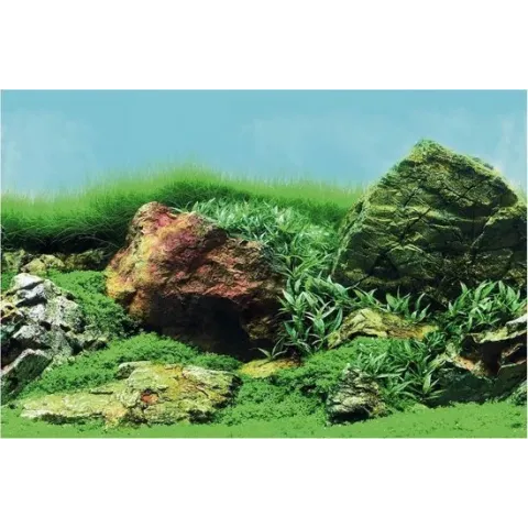 Superfish deco poster c5 120x61 cm