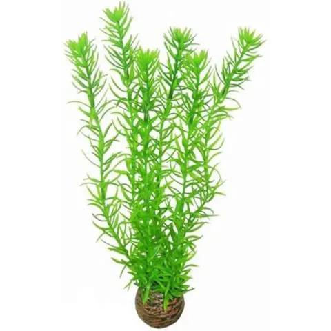 Superfish easy plants hoog nr. 1, van plastic 30 cm - 1 ST
