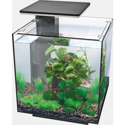 Superfish Qubiq 30 Pro Zwart aquarium