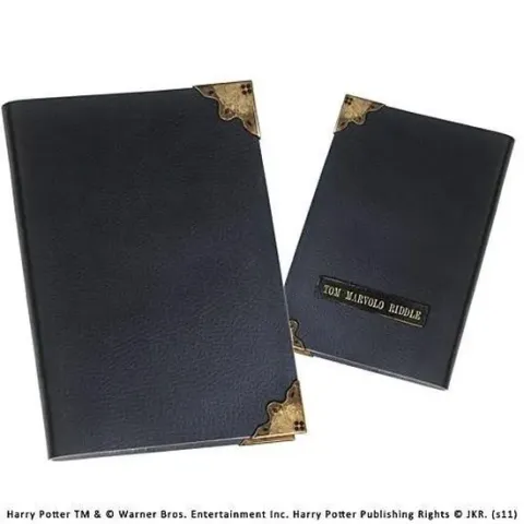 Tom Riddle dagboek