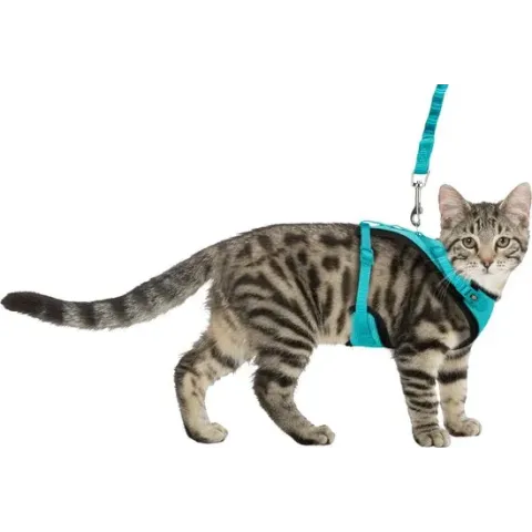 Trixie Mesh Y-tuig kat met elastische riem