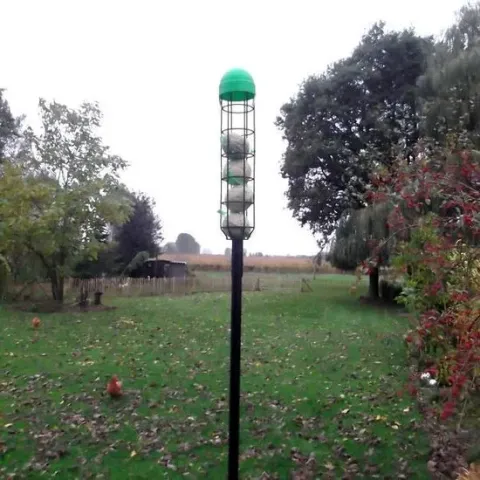 Vetbollenautomaat - Vogelvoederhuisje - Zwart - 9 cm x 9 cm x 240 cm