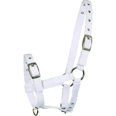 Veulen halster Triple White
