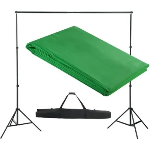 vidaXL Achtergrondondersteuningssysteem 300x300 cm groen